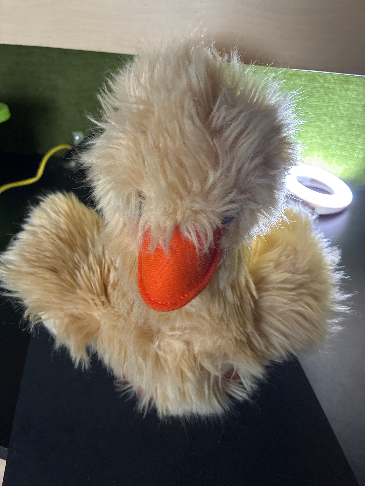Flauschige Ente