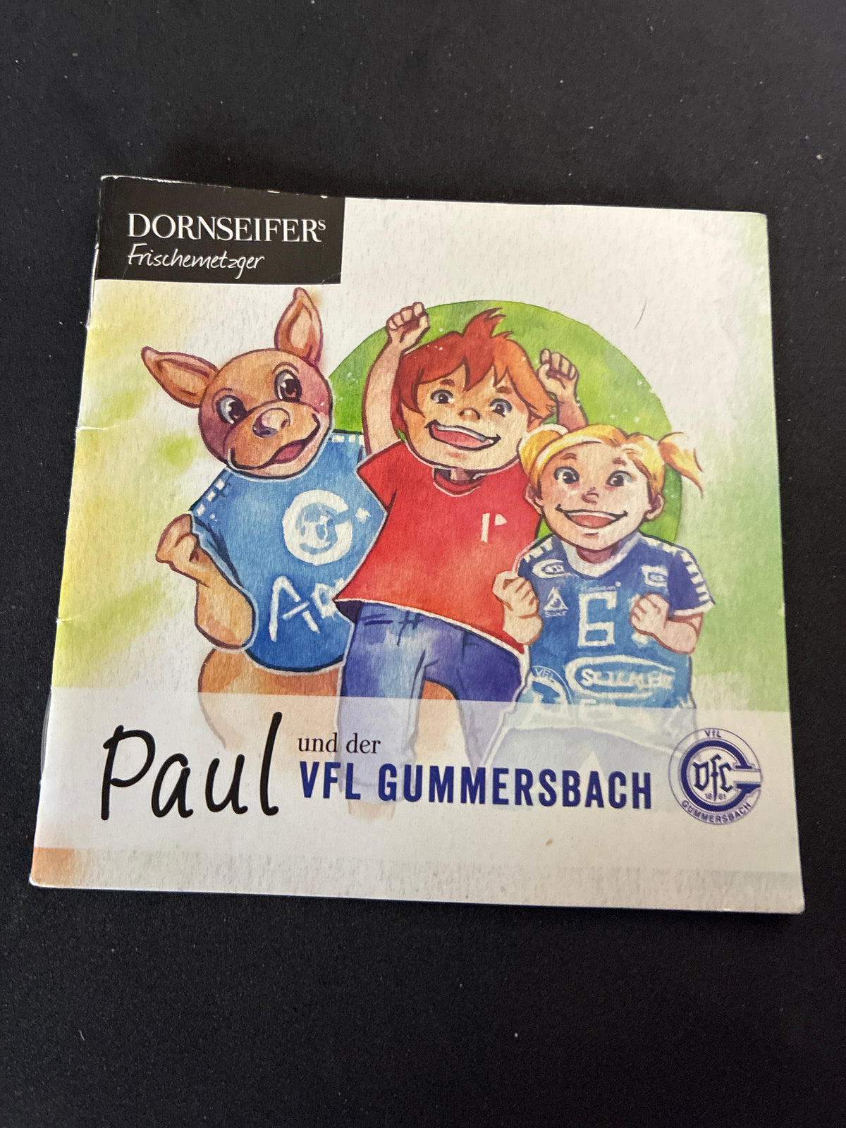 Kinderbuch Paul