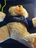 Teddy
