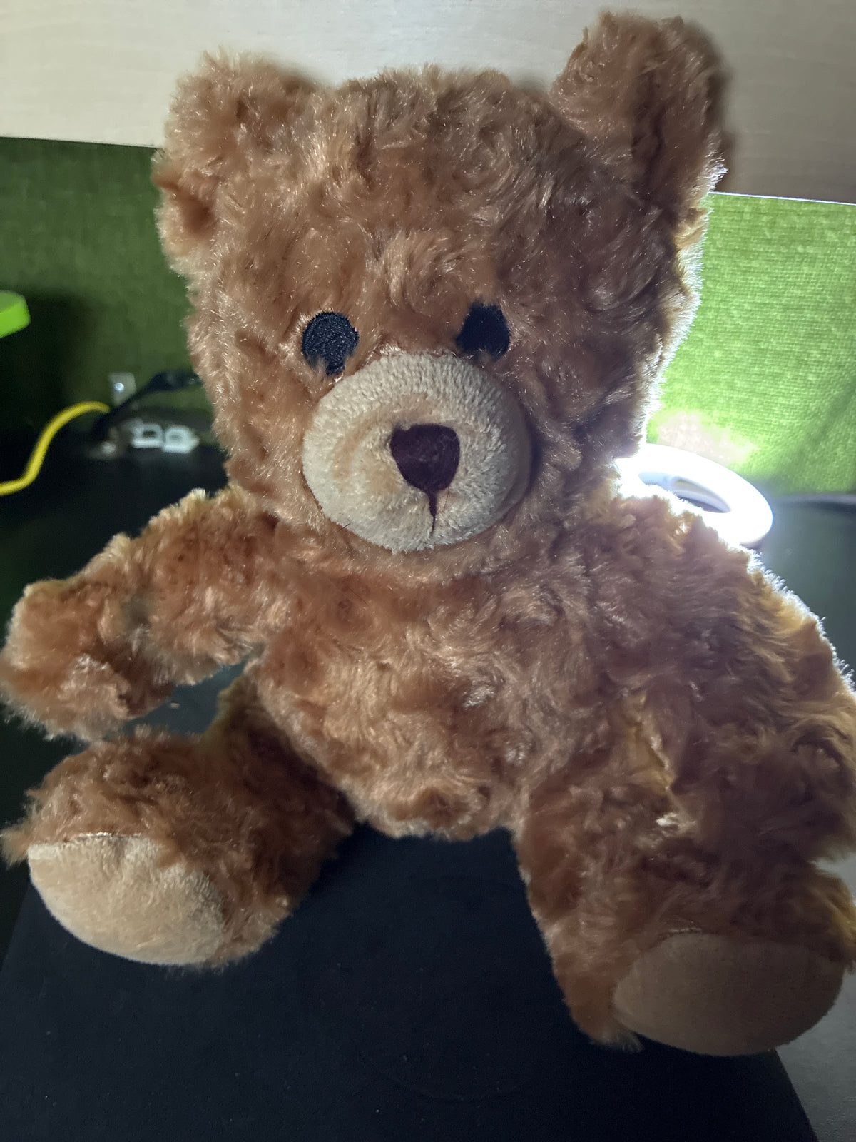 Teddy
