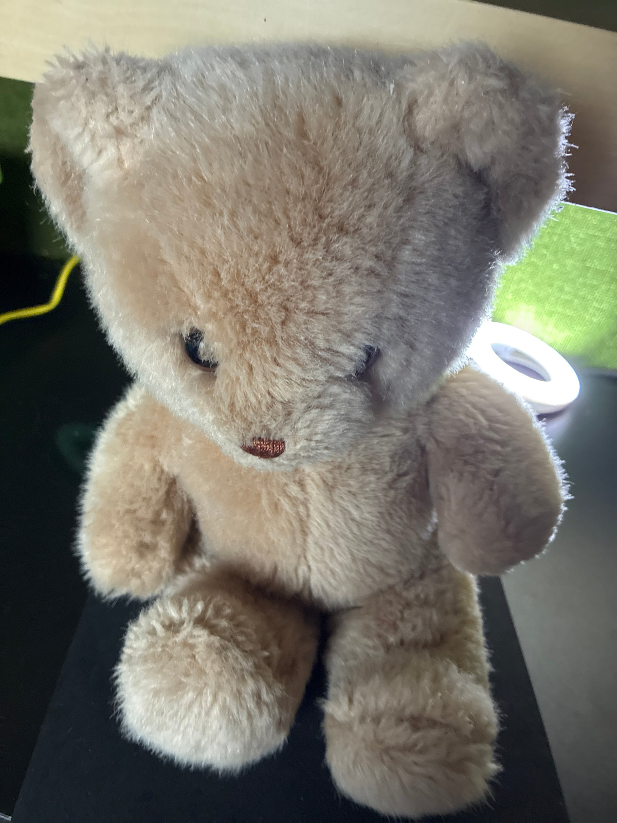 Teddy