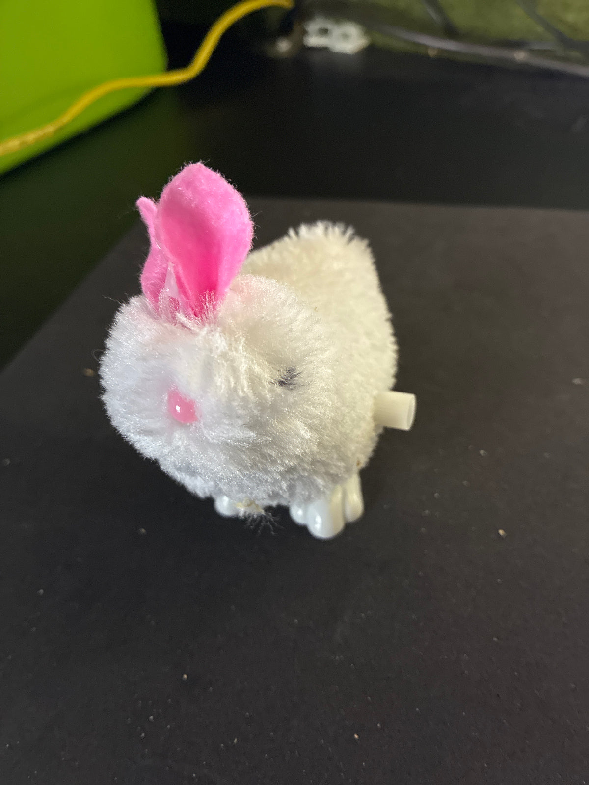 Springhase