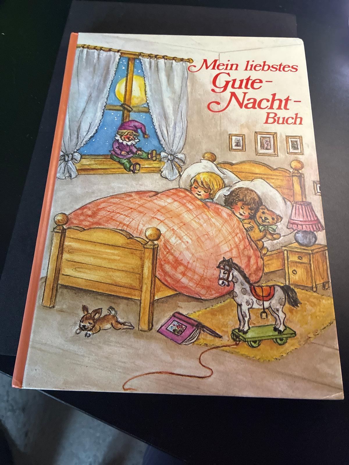Gute Nacht Buch