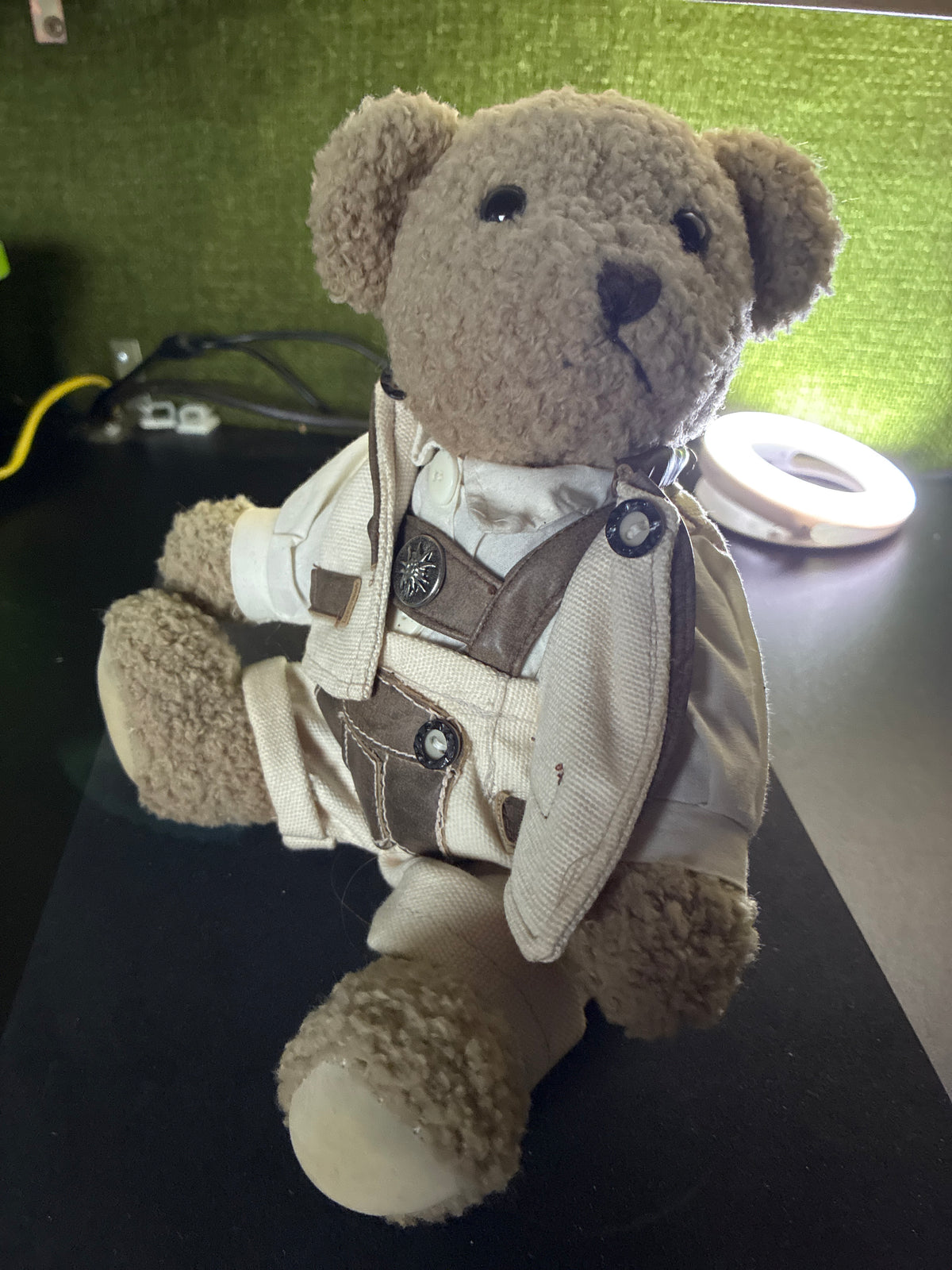 Teddy