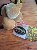 MRSA Virus
