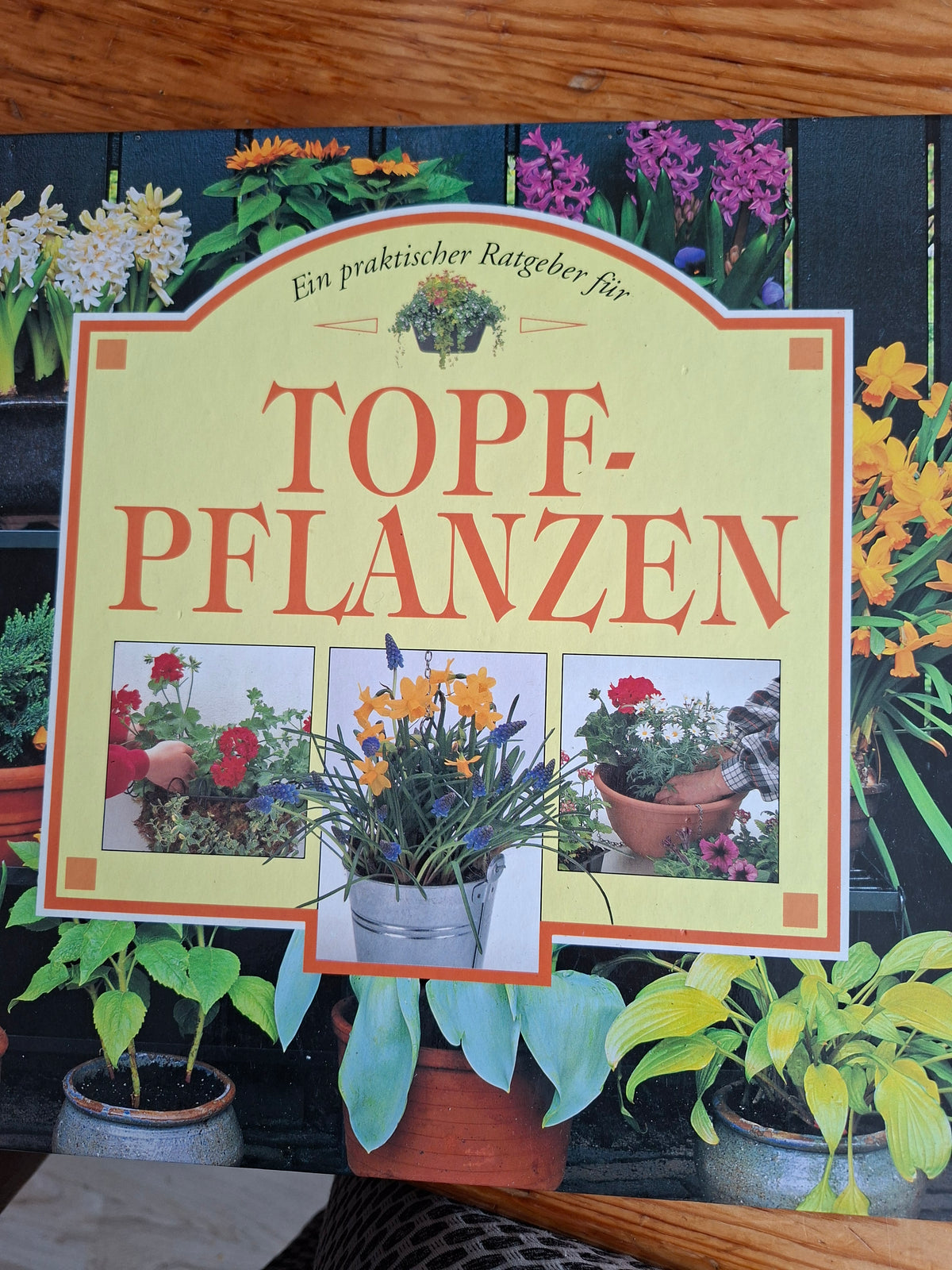 Buch