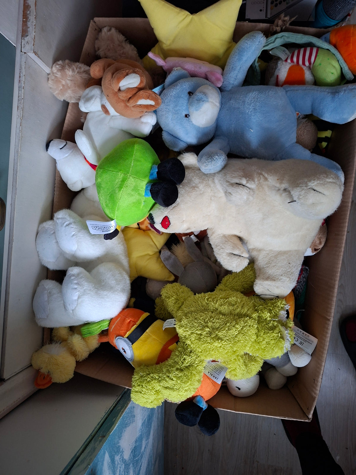 Kuscheltier selbst durchgucken