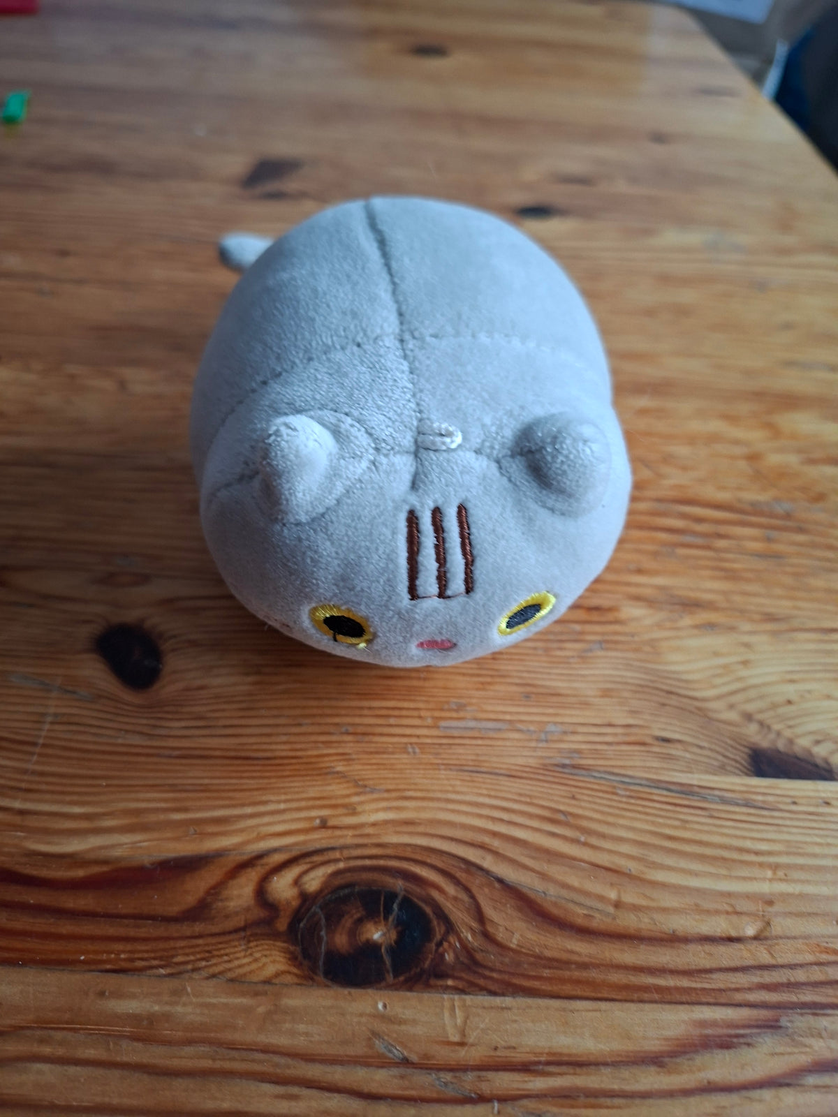 Katze