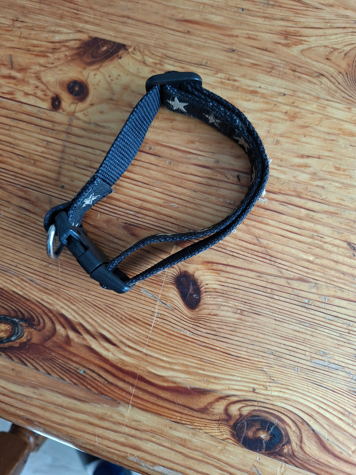 Hundehalsband klein