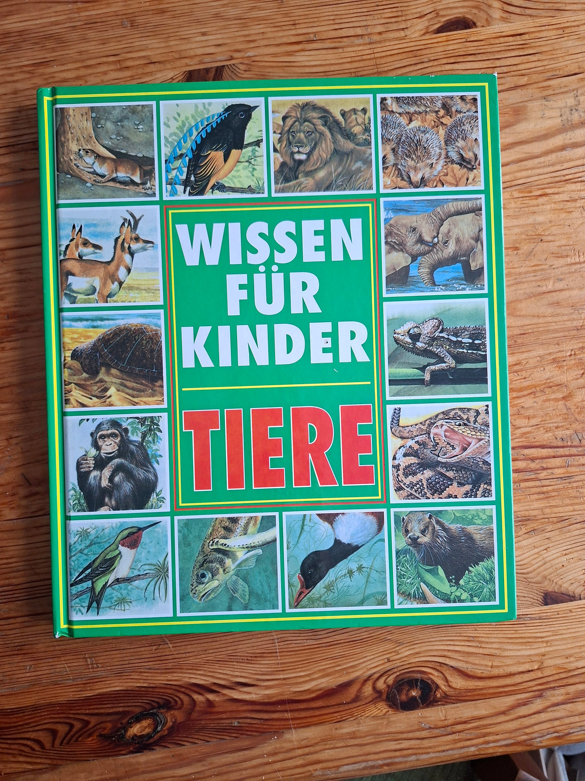 Buch