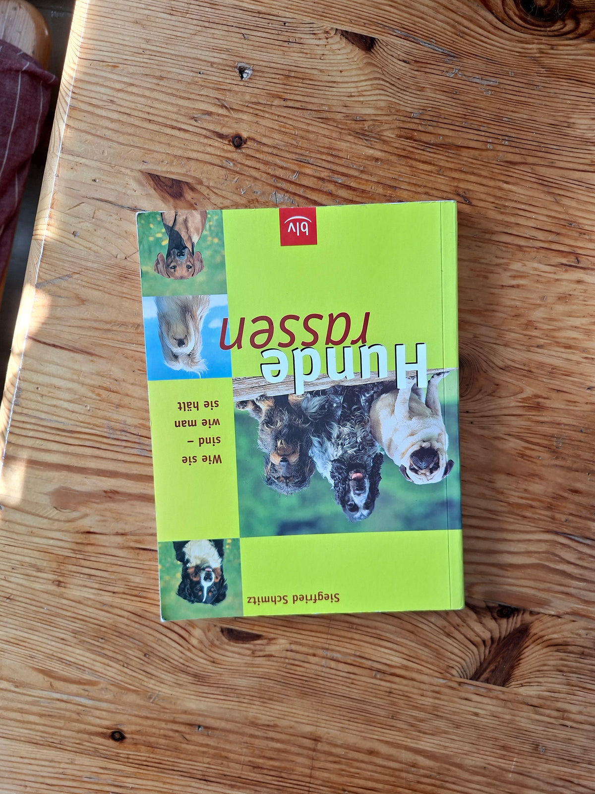 Buch