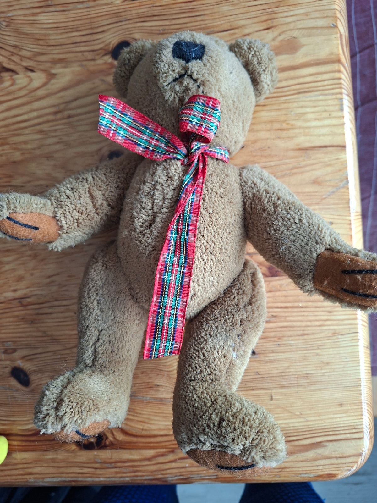 Teddy