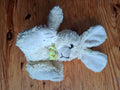 Hase