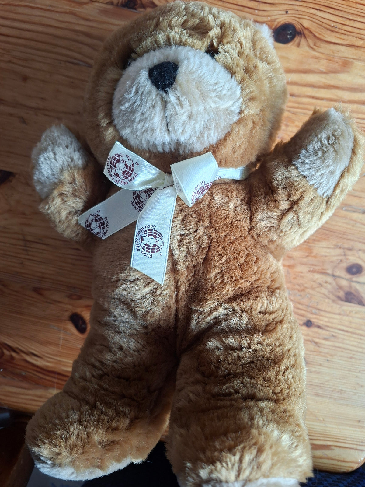 Teddy