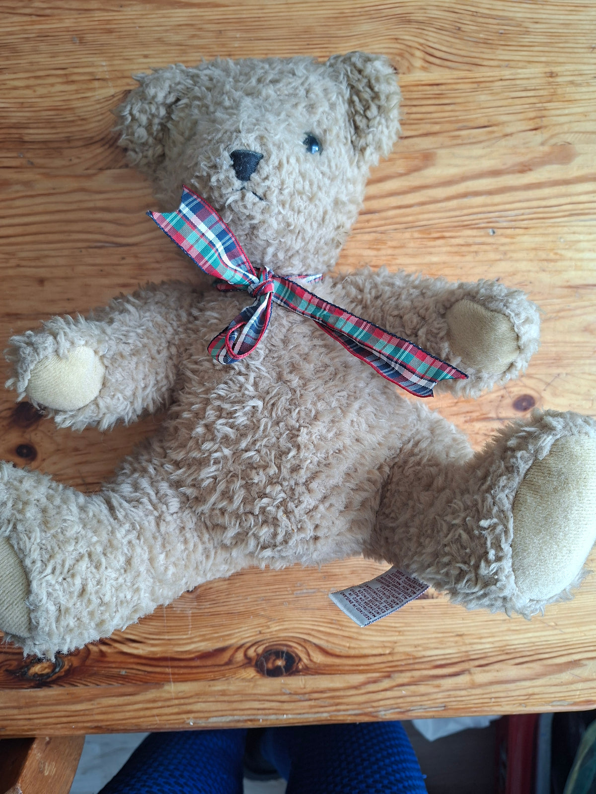 Teddy