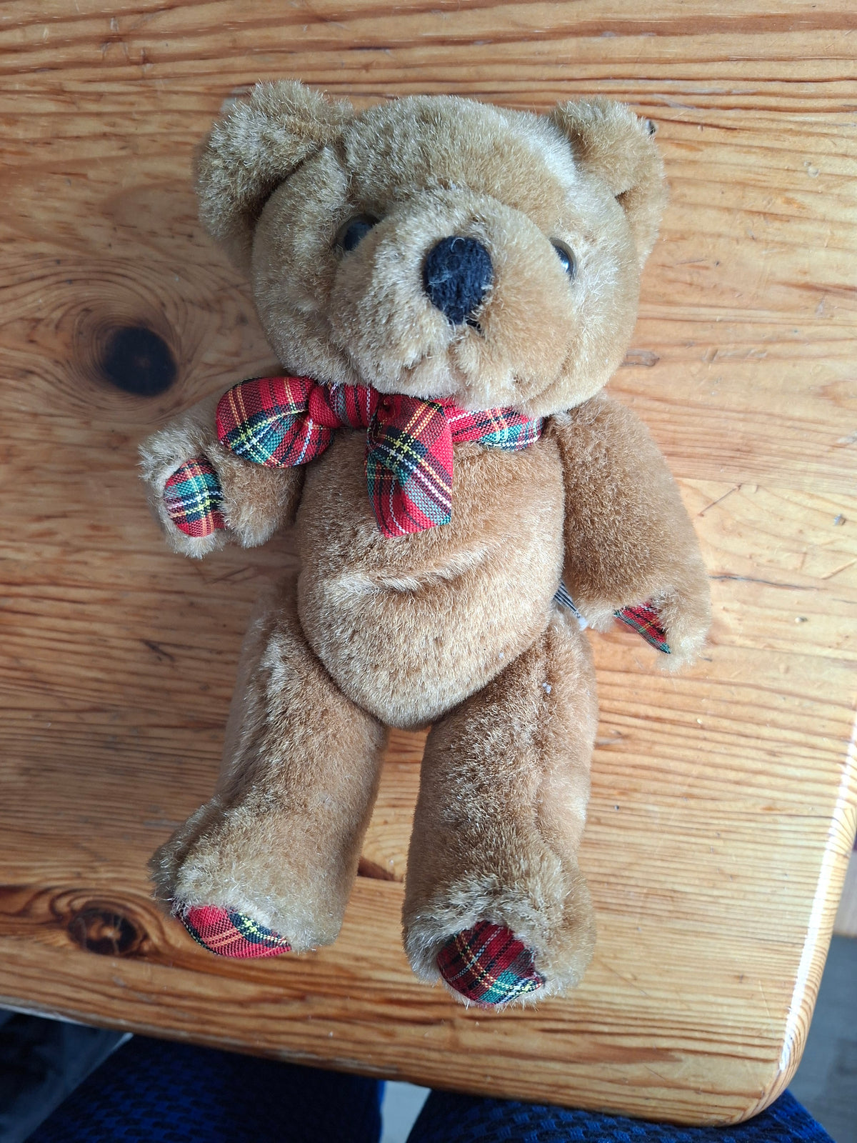 Teddy