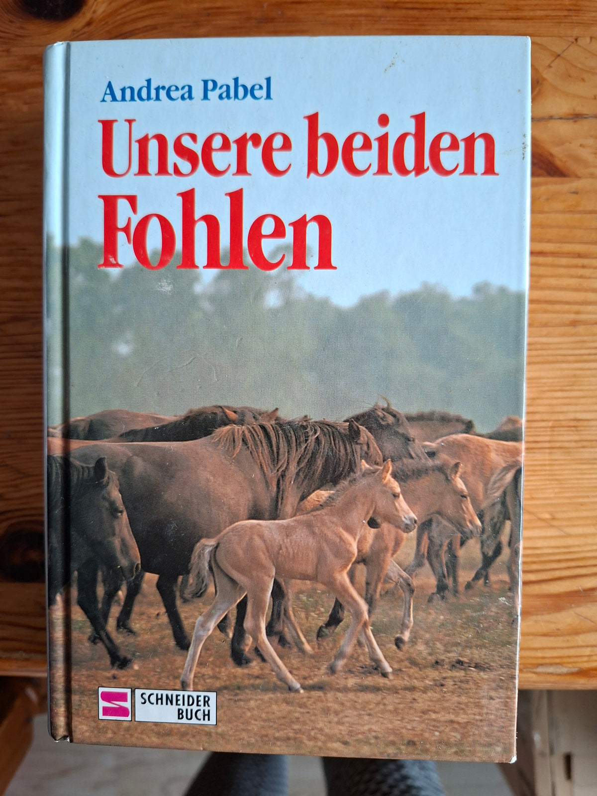 Buch