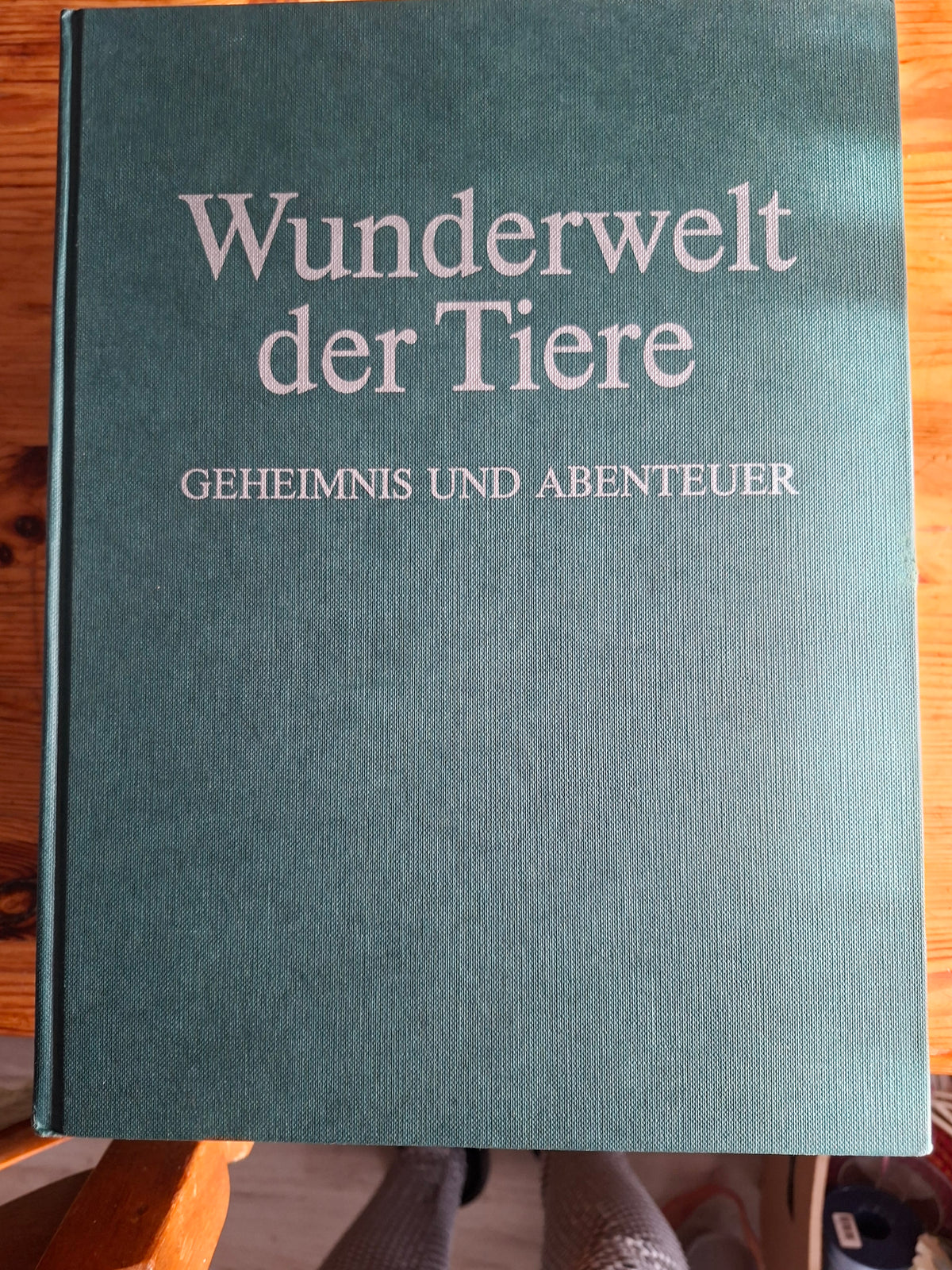 Buch