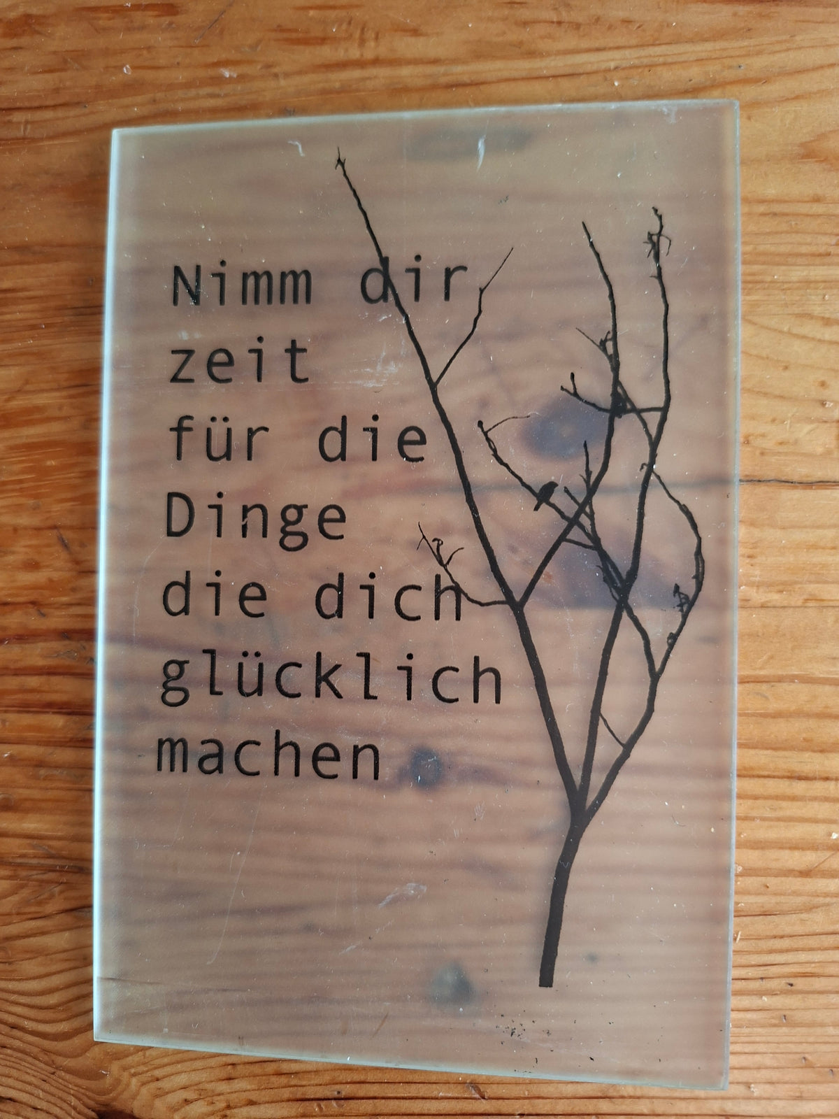 Schild