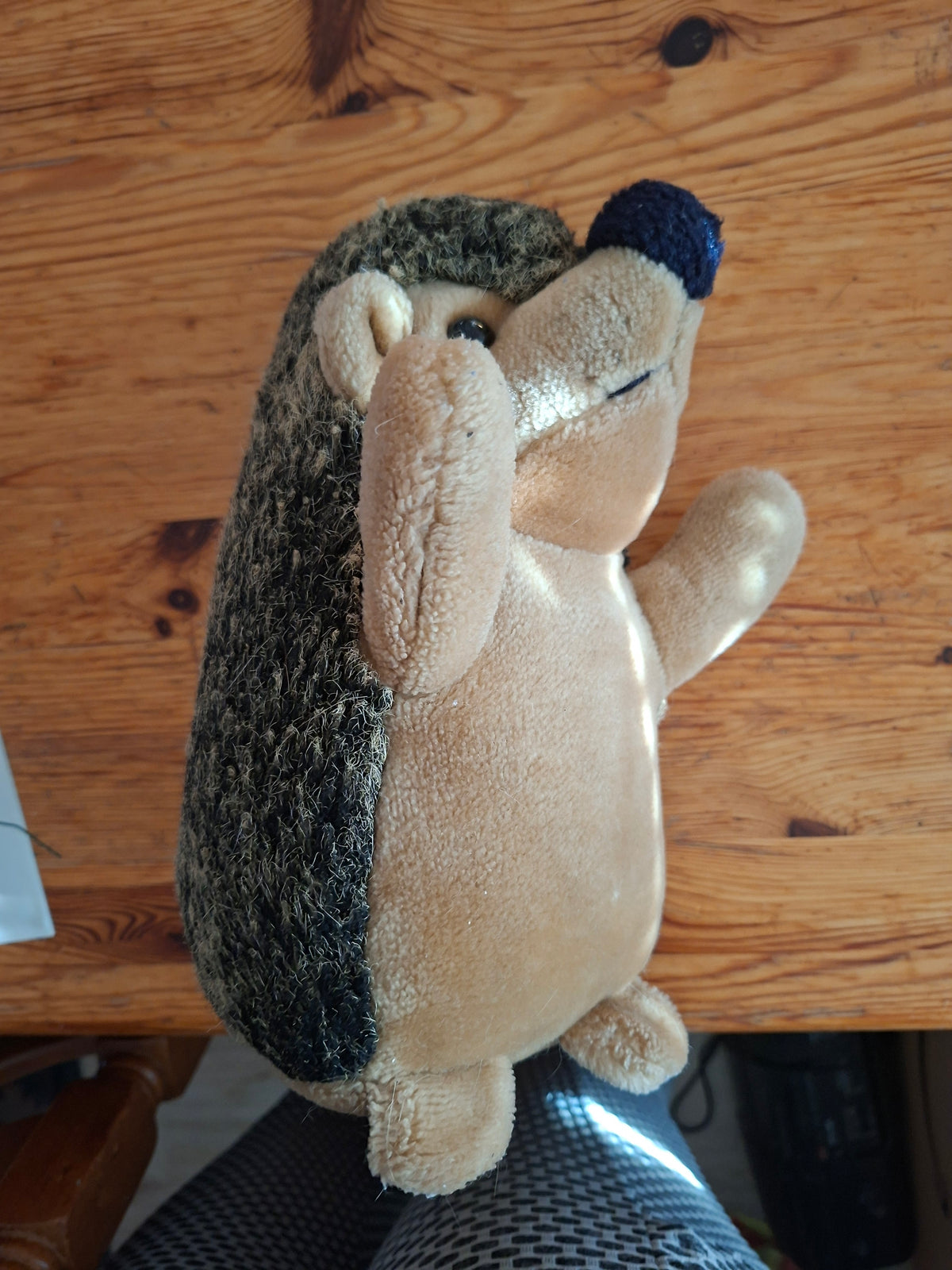 Igel
