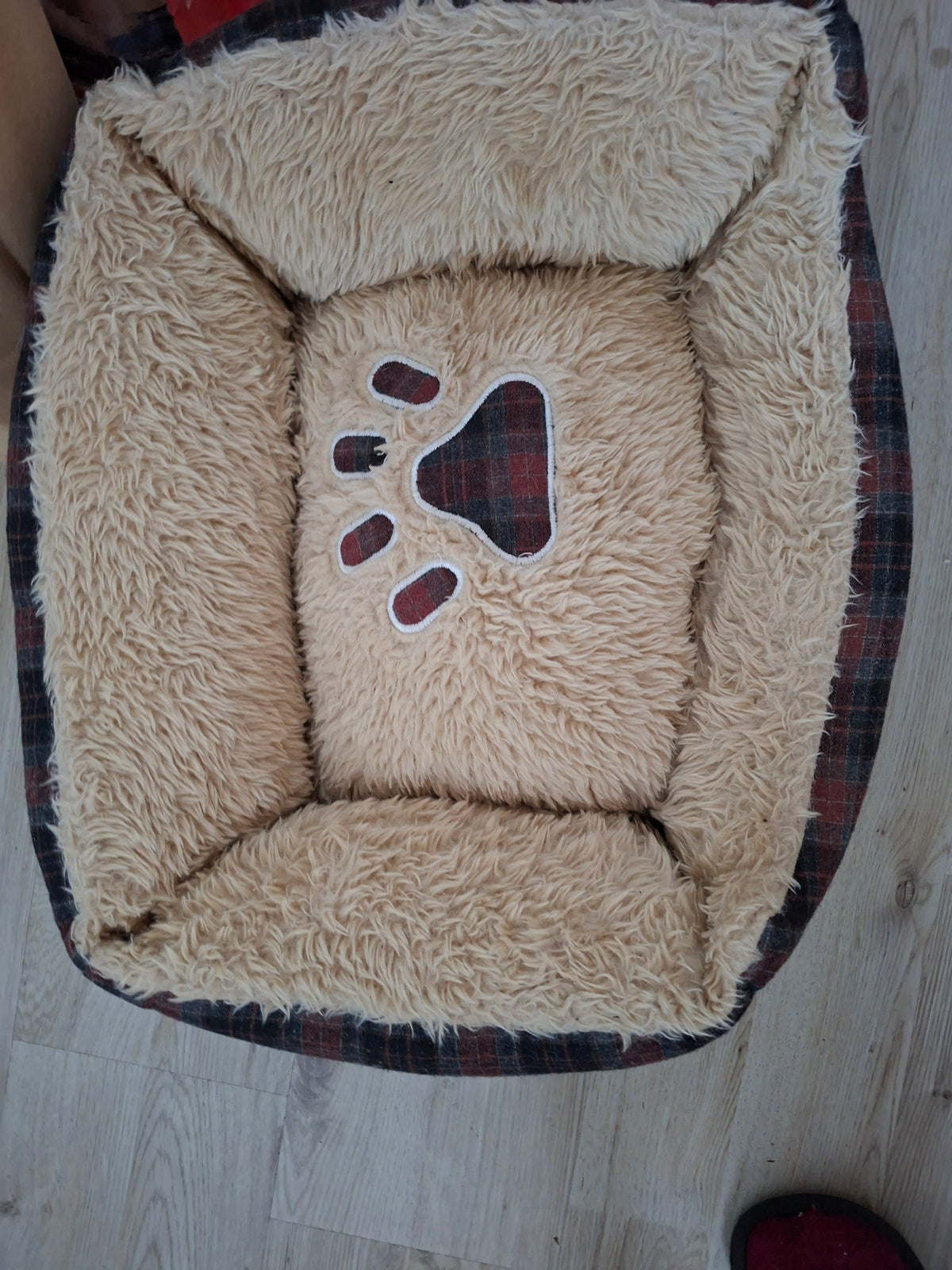 Katzen/ Hunde Platz