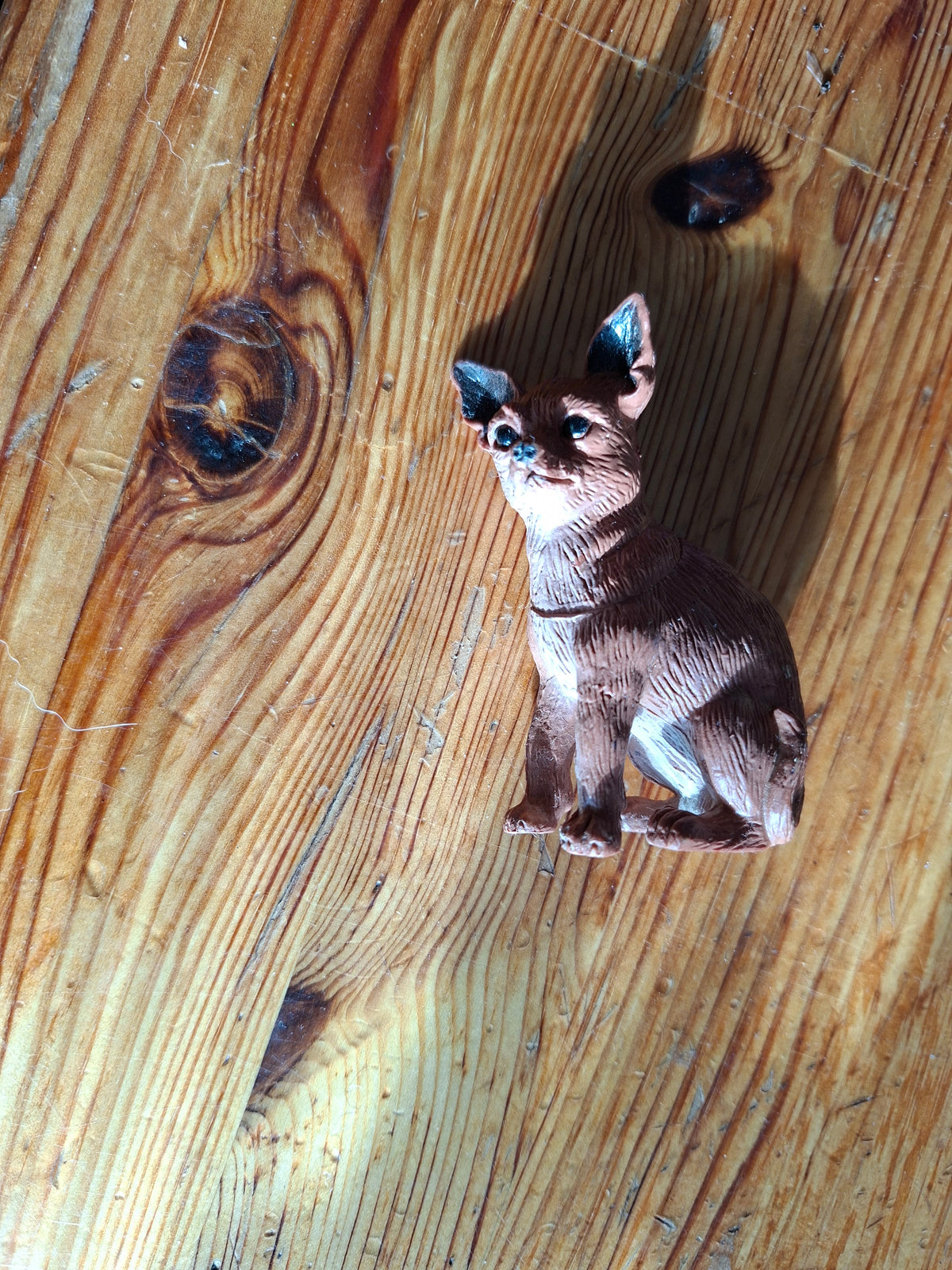 Hund