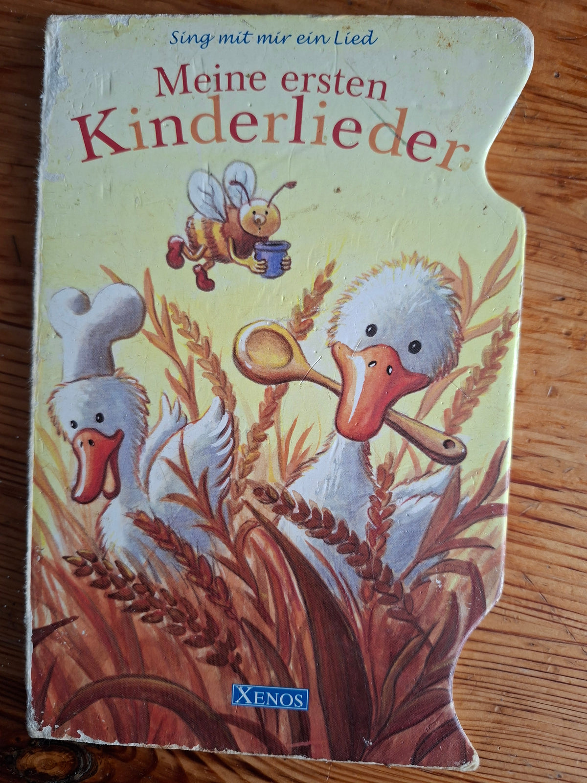 Meine ersten Kinderlieder