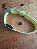 Halsband großer Hund