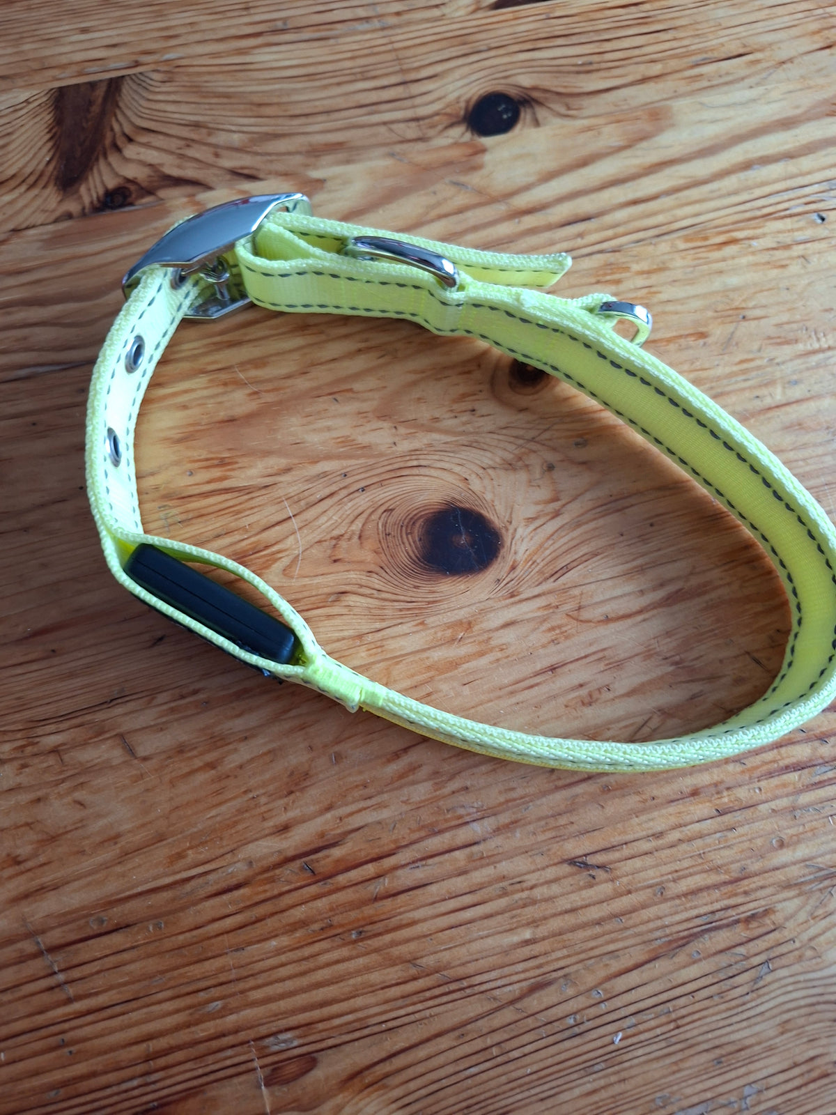 Halsband großer Hund