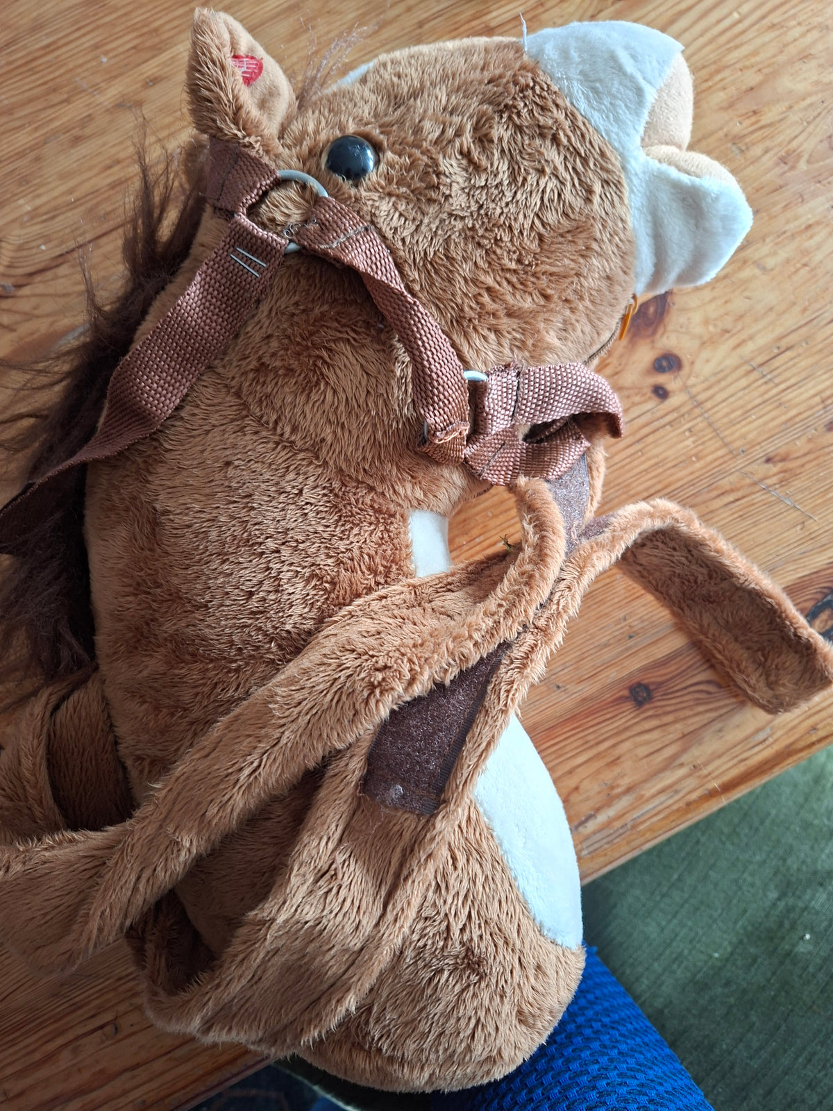 Pferd