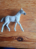 Pferd