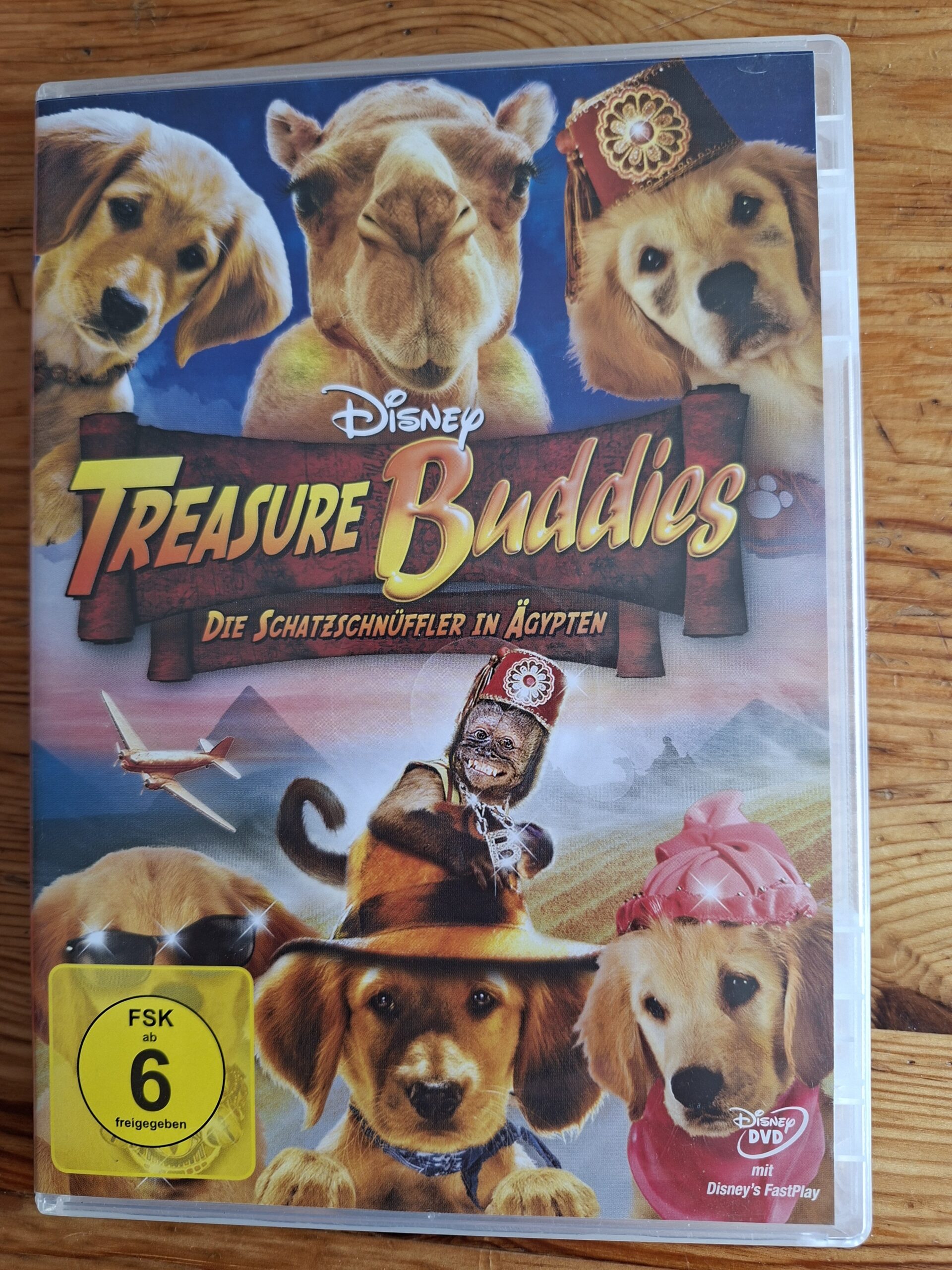 Treasure Buddies