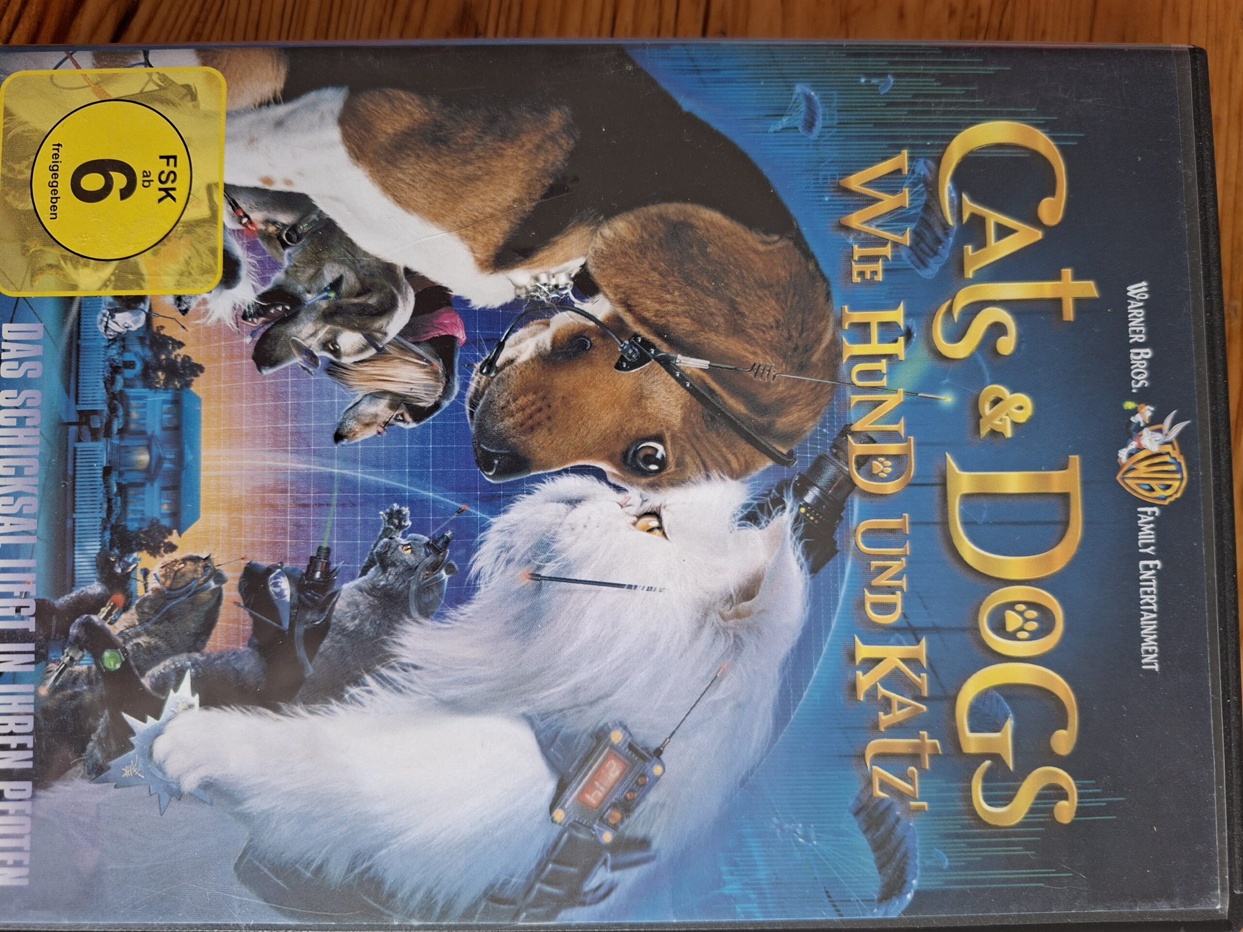Cats and Dogs