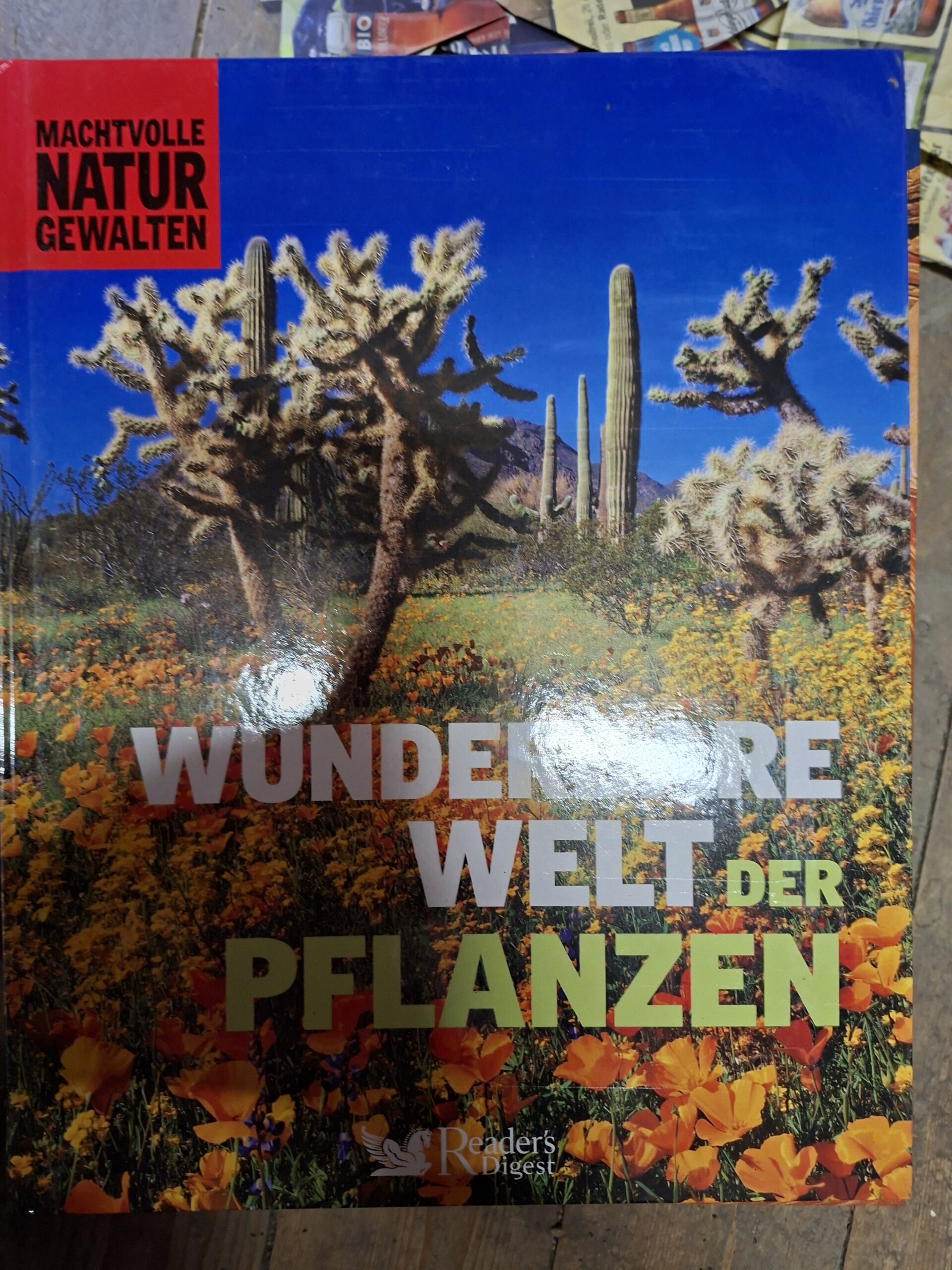 Pflanzen