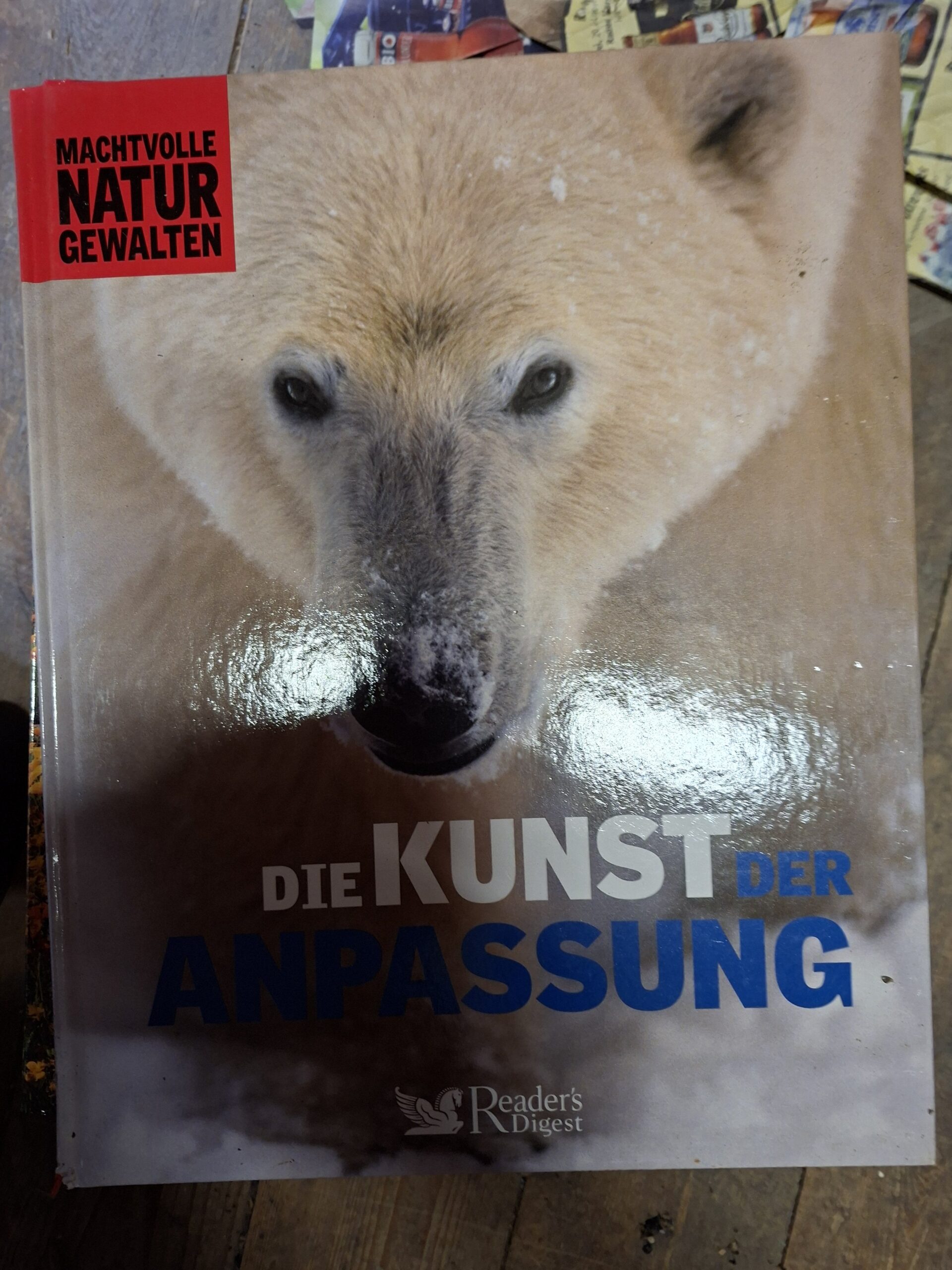 Anpassung