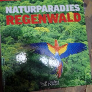Regenwald