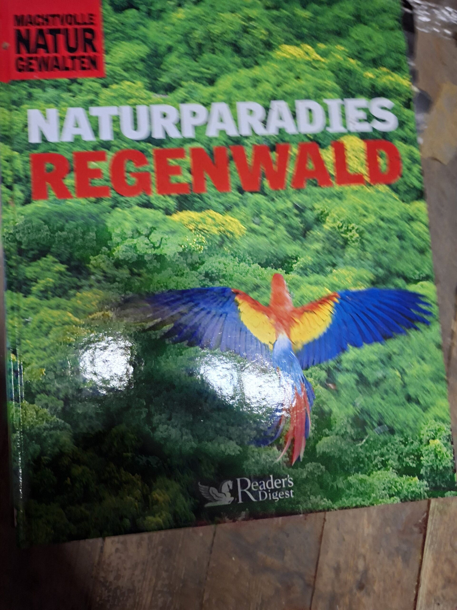 Regenwald