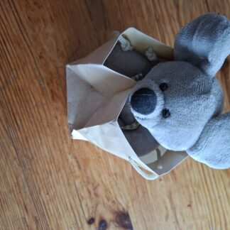 Maus